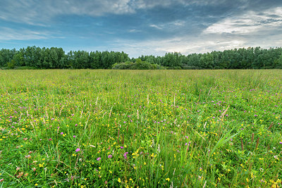 BUITEN BEELD Foto: 339403