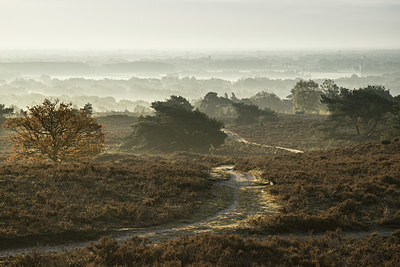 BUITEN BEELD Foto: 339658