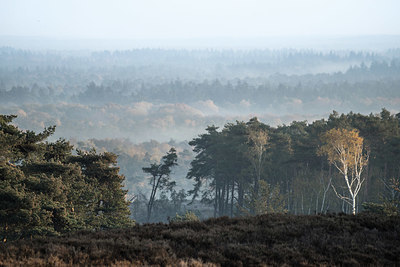 BUITEN BEELD Foto: 339659