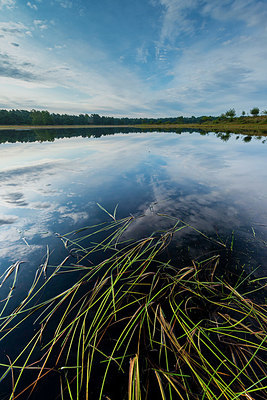 BUITEN BEELD Foto: 339718