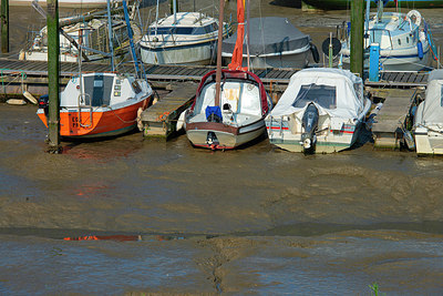 BUITEN BEELD Foto: 339727