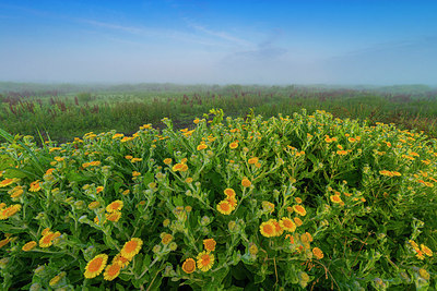 BUITEN BEELD Foto: 339745