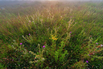 BUITEN BEELD Foto: 339760