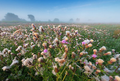 BUITEN BEELD Foto: 339767