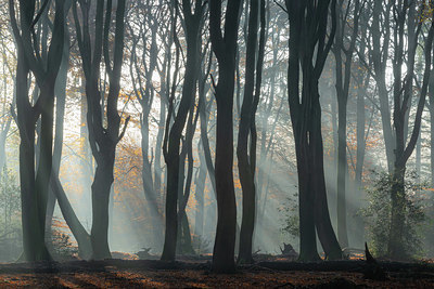 BUITEN BEELD Foto: 340123