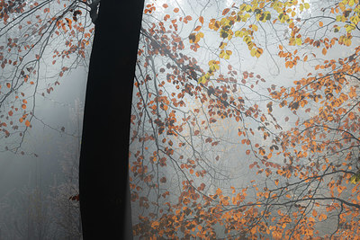 BUITEN BEELD Foto: 340124