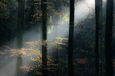 BUITEN BEELD Foto: 340130