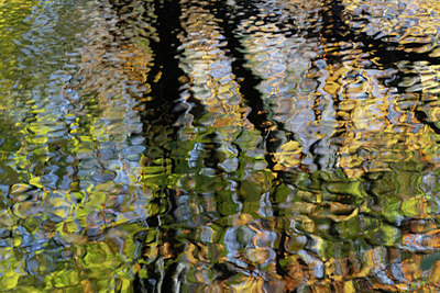 BUITEN BEELD Foto: 340141