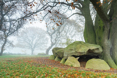 BUITEN BEELD Foto: 340146