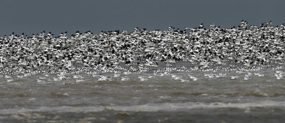 BUITEN BEELD Foto: 340150