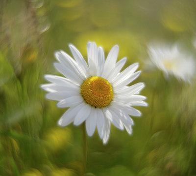 BUITEN BEELD Foto: 340211