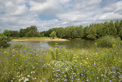 BUITEN BEELD Foto: 340227