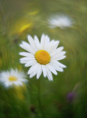 BUITEN BEELD Foto: 340236