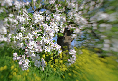 BUITEN BEELD Foto: 340243