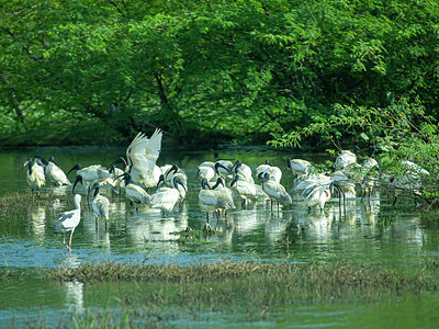 BUITEN BEELD Foto: 340316