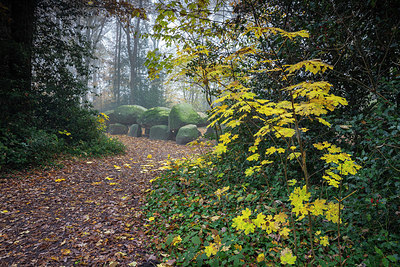 BUITEN BEELD Foto: 340472