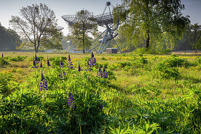 BUITEN BEELD Foto: 340505