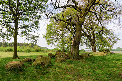 BUITEN BEELD Foto: 340520