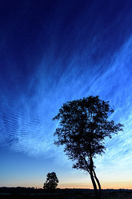 BUITEN BEELD Foto: 340528