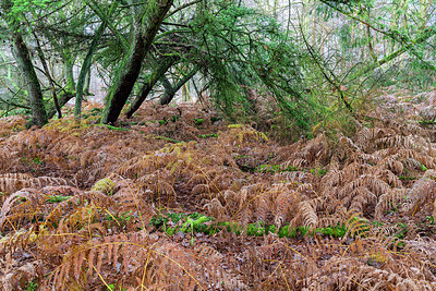 BUITEN BEELD Foto: 340538