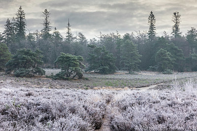 BUITEN BEELD Foto: 340544