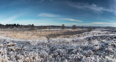 BUITEN BEELD Foto: 340574
