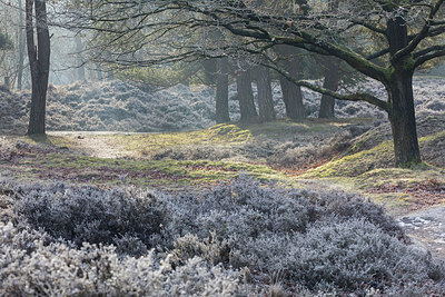 BUITEN BEELD Foto: 340575