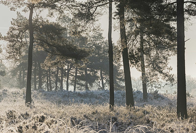 BUITEN BEELD Foto: 340580