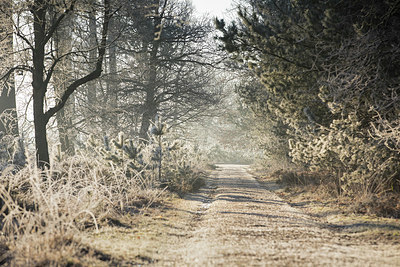 BUITEN BEELD Foto: 340581