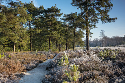 BUITEN BEELD Foto: 340584