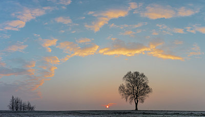 BUITEN BEELD Foto: 340585
