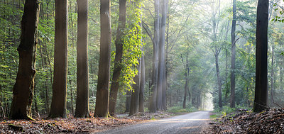 BUITEN BEELD Foto: 340622