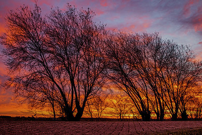 BUITEN BEELD Foto: 340640