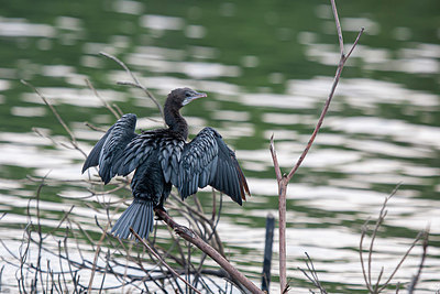 BUITEN BEELD Foto: 340644