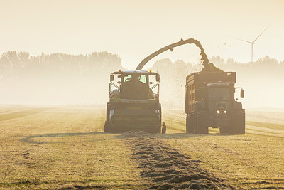 BUITEN BEELD Foto: 340652