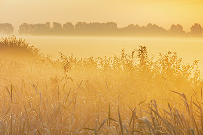 BUITEN BEELD Foto: 340653