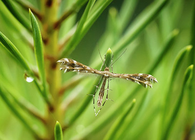 BUITEN BEELD Foto: 340655