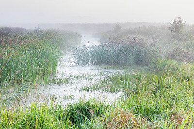 BUITEN BEELD Foto: 340686