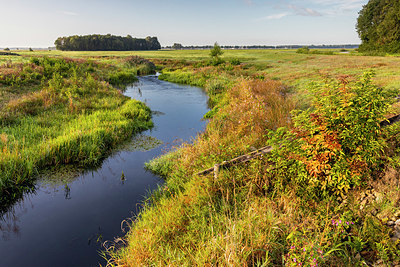 BUITEN BEELD Foto: 340689