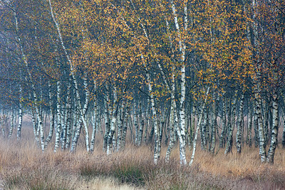BUITEN BEELD Foto: 340694