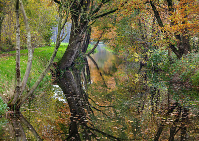 BUITEN BEELD Foto: 340695