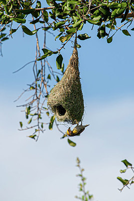 BUITEN BEELD Foto: 340744