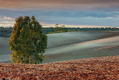 BUITEN BEELD Foto: 340769