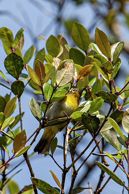 BUITEN BEELD Foto: 340779