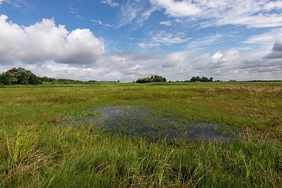 BUITEN BEELD Foto: 340783