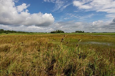 BUITEN BEELD Foto: 340784