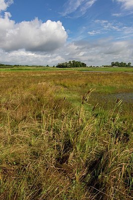 BUITEN BEELD Foto: 340785