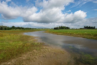 BUITEN BEELD Foto: 340787