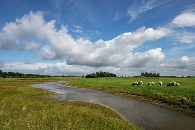 BUITEN BEELD Foto: 340789