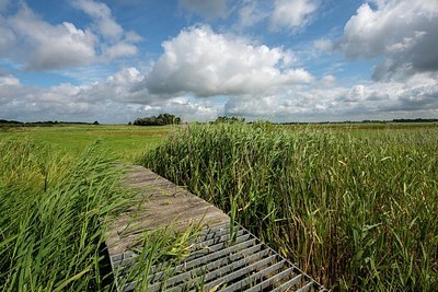 BUITEN BEELD Foto: 340793